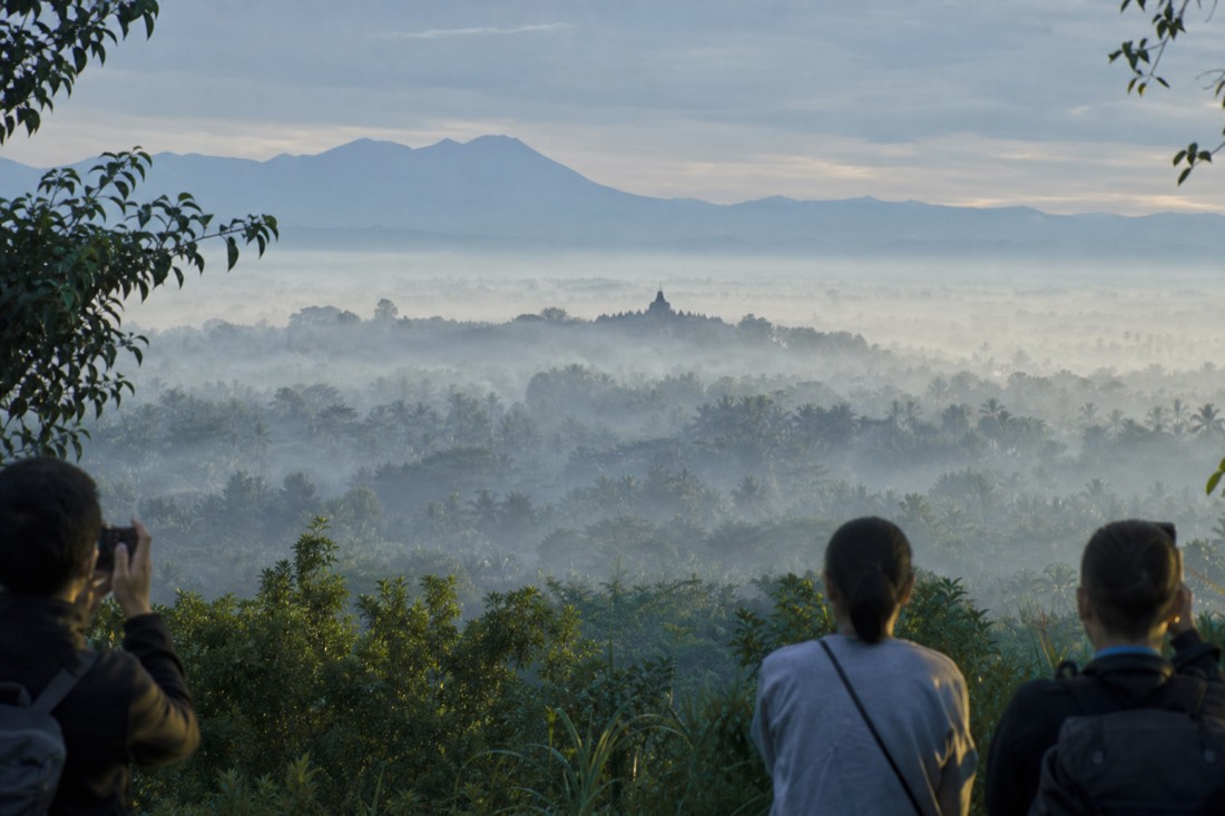 Fog over the palm canopy of the Kedu Plain with Borobudur emerging, from Punthuk Setumbu